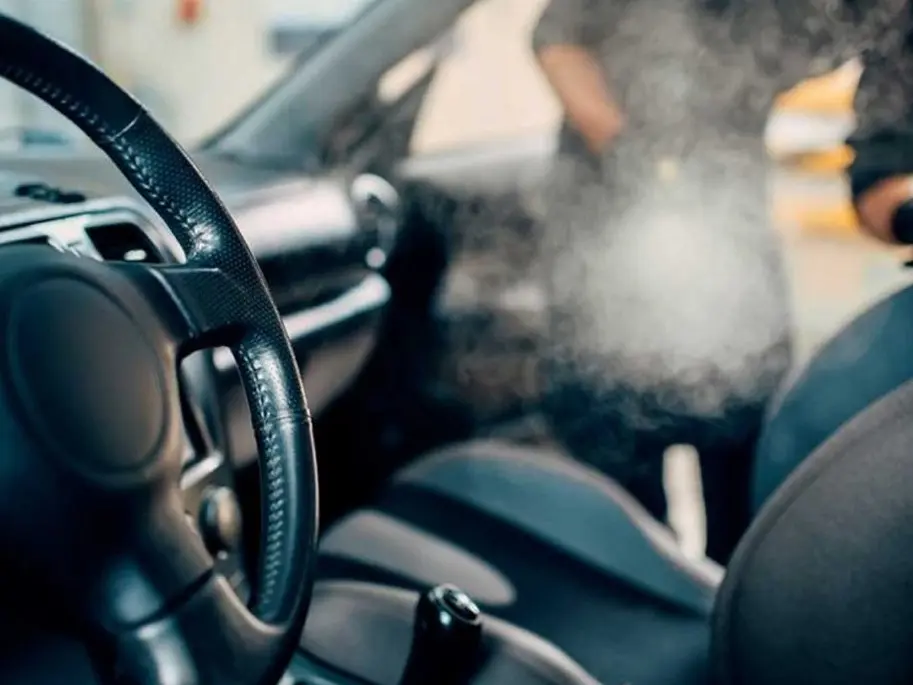 Eliminare Pete și Mirosuri Persistente